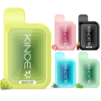 KINOE Electronic Cigarette Disposable 5 Flavors Set of 5 MIX 1